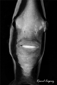 B&W Mask by Raoul Caprez 
